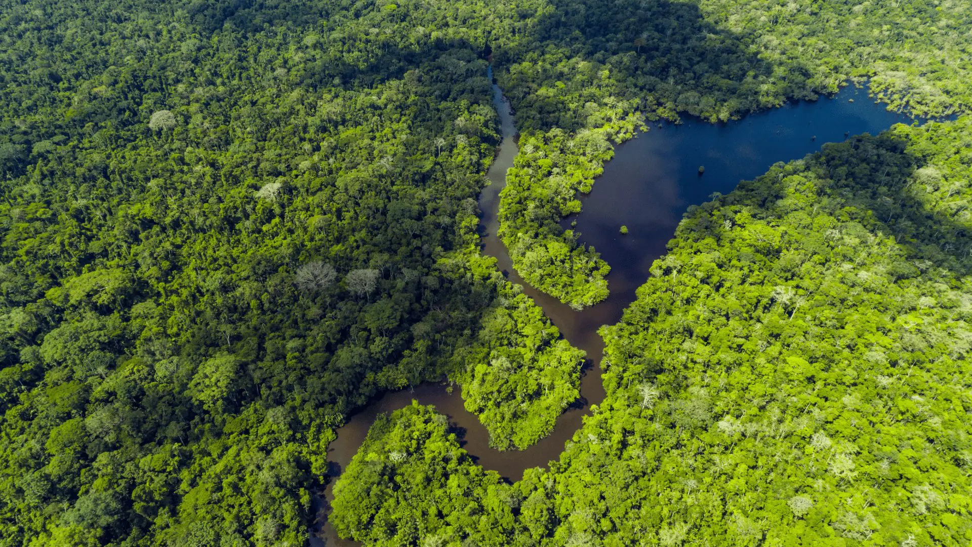 Ecosistemas de Colombia